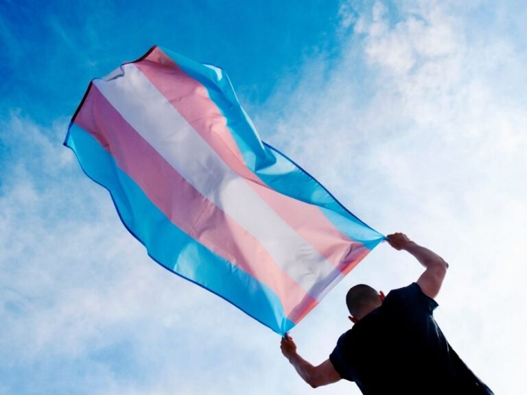 trans-pride-vlag