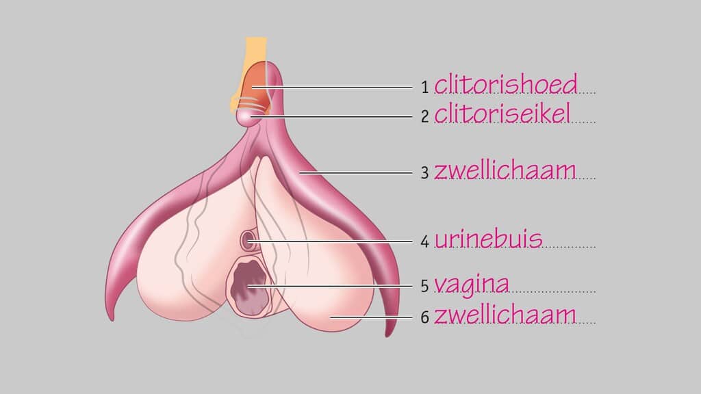 taboe op afbeelding clitoris
