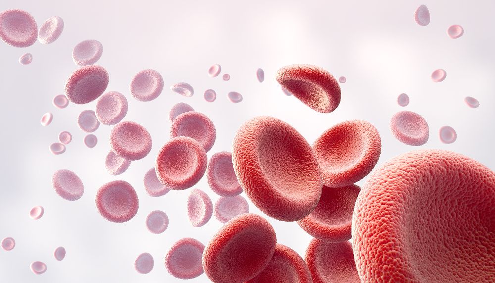 Rode bloedcellen