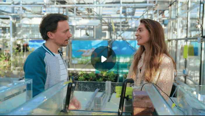 Fee Smulders - Kantelpunten in het Klimaat