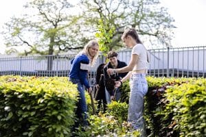 Drie studenten planten een boom op een schoolterrein