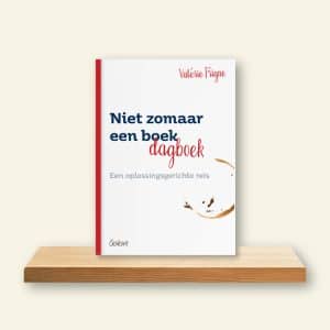 Omslag Niet zomaar een boek – een oplossingsgerichte reis