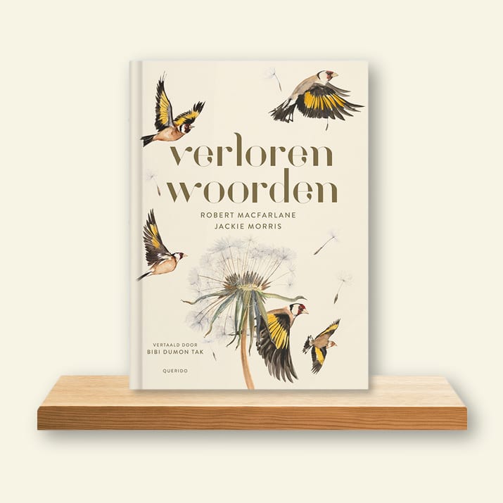 Omslag Verloren woorden