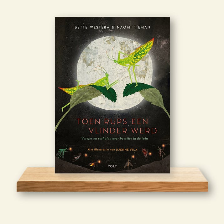 Omslag Toen rups een vlinder werd