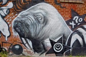 Een muurschildering van een walrus