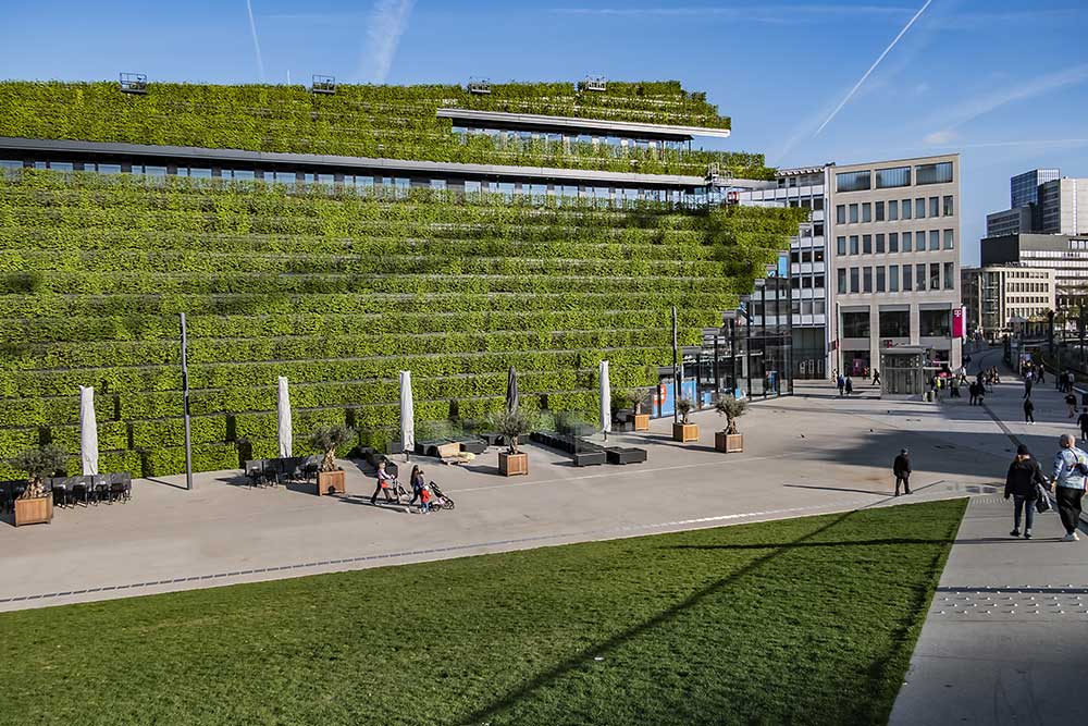 Dag van de Duitse taal 2025