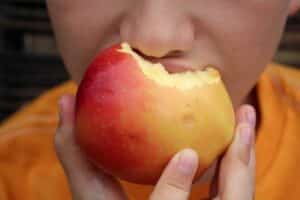 Een leerling hapt in een appel